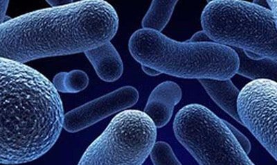 Клиничка патологија